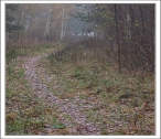 Idag var det dimmigt värre. 2008-11-05