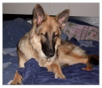 Nari 10/7 2009 Nari 10/7 2009
